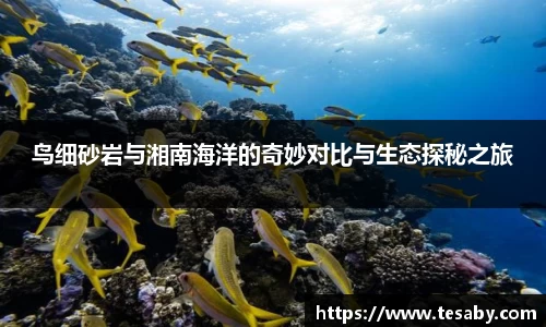 sbobet利记APP